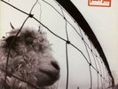 Pearl Jam - Vs. (1993) Epic 474549 1 Holland used vinyl gatefold vg/M-