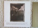 Pixies - Surfer Rosa - rar