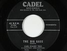 Surf Inst. 45 - Carl Stacey Trio - The Big Gass - Cadel - mp3 - obscure