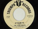 Surf Inst. 45 - Clee-Shays - Dynamite - Triumph - mp3