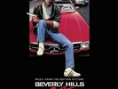 Harold Faltermeyer - Beverly Hills Cop (Vinyl Used Very Good)