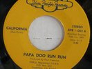 NM MINUS PAPA DOO RUN RUN 