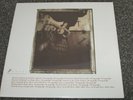 THE PIXIES - SURFER ROSA - NEW LP RECORD