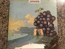 1969  Mono MOBY GRAPE Wow Promo LP