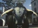 Swervedriver Mezcal Head - EX vinyl LP album record UK CRELP143 CREATION 1993