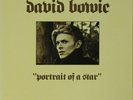 VINILI  DAVID BOWIE - PORTRAIT OF A STAR