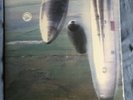 Godspeed You  Black Emperor - Yanqui U.X.O. 2LP 1st Press Swans Mogwai Sigur Ros