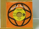 Mickey Denton 45 Dont Throw My Toys Away bw One More Time World Artists Michigan