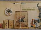 TEN YEARS AFTER : CRICKLEWOOD GREEN : uk deram stereo lp 1970 : ALVIN LEE ????