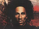 BOB MARLEY AND THE WAILERS Natty Dread LP VINYL 9 Track Original With Rounded