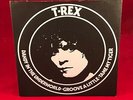 T-REX Dandy In The Underworld 1977 UK 3-track 7