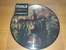 Foals Everything Not Saved Will Be Lost Part 2 Picture Disc Vinyl
