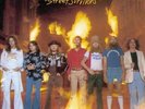 Lynyrd Skynyrd - STREET SURVIVORS(LP) (Vinyl)