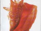 NAPOLI CENTRALE ‎– Mattanza           € 90,00  PRIMA STAMPA UNICA E ORIGINALE