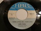EARL GAINS MIS-PRESS NORTHERN SOUL FAST VERSION 45 DON'T TAKE MY KINDNESS HBR