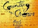 Counting Crows - August And Everything After - New Sealed Vinyl Reissue LP Album