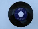 THE GEE CEES BUZZ SAW / ANNIE HAD A PARTY GARAGE/FUZZ 1961 Psych GLEN CAMPBELL