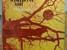 Wishbone Ash - Pilgrimage Uk 1971 Vinyl LPMDKS 8004