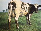 PINK FLOYD ATOM HEART MOTHER - VINYL LP ORIGINAL - SHVL 781 HARVEST