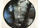 CRADLE OF FILTH Dusk and her Embrace - PIC-LP SWE 2004 - ltd ed x500 GMR MFN 666