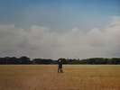 Mark Knopfler (of Dire Straits) - Tracker - 2 LP Set - SEALED LP