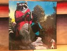 J.J. Cale Naturally Vivante Productions Limited Release Vinyl LP Rare Near Mint
