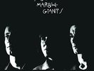 YOUNG MARBLE GIANTS-COLOSSAL YOUTH (US IMPORT) VINYL LP NEW