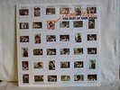 PRIME PRINE - THE BEST OF JOHN PRINE (SD18202)  VG+ condition  AWESOME ALBUM