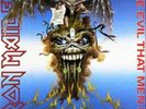 Iron Maiden-The Evil That Men Do Vinyl / 7