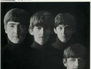 The Beatles - With The Beatles [LP] (MONO 180 Gram, all-analog remastered)2014