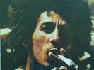 Bob Marley - Catch a Fire [New Vinyl]