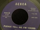 FAY SIMMONS Please Tell Me I’m Yours SENCA 45, R&B, SOUL ORIG RARE VINYL