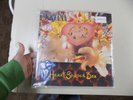 USED EXCELLENT VINYL RECORD NIRVANA HEART SHAPED BOX MADE IN ENGLAND SEE