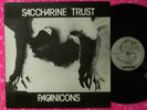 Saccharine Trust,12