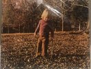 mfsl vinyl The Allman  Brothes - Brothers And Sisters  Factory Seald