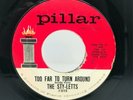 RARE DETROIT SOUL THE STY-LETTS 