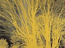 Nada Surf The Stars Are Indifferent To Astronomy (Vinyl)