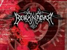 Borknagar - Quintessence