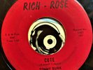 Tommy Burk & The Counts 45 Memphis TN Garage Band Cute Ding-A- Ling Mint-
