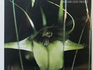 PSYCHIC TV 'Dreams Less Sweet' Vinyl LP (Throbbing Gristle Coil) NEW/SEALED