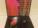 A FLOCK OF SEAGULLS 2 LP Lot- Listen & The Story Of A Young Heart JIVE/ARISTA VG