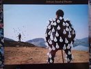 PINK FLOYD - DELICATE SOUND OF THUNDER  - LP  VG++/EX - 1988 STAMPA ITALIANA