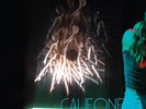 Califone - Echo Mine