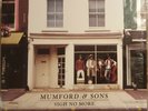Mumford & Sons Sigh No More and Babel Vinyl LPs lot