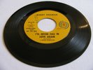 BOBBY FREEMAN - I'LL NEVER FALL IN LOVE AGAIN / FRIEND'S - AUTUMN DJ