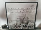 IN FLAMES - REROUTE TO REMAIN VINYL
