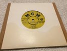 Peter And The Wolves 7” Lanternlight Rare Psych Mod Freakbeat Fuzz MGM