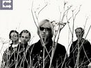 Tom Petty & Heartbreakers ECHO 2 LP Set NEW Remaster from Orig Analog Swingin