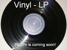 Rolling Stones [2 LP] Rolled Gold - The Very Best of