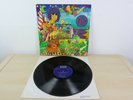 Boudewijn de Groot ?– Picknick LP 12 Vinyl 1968 BELGIAN Press - Psych Folk Rare